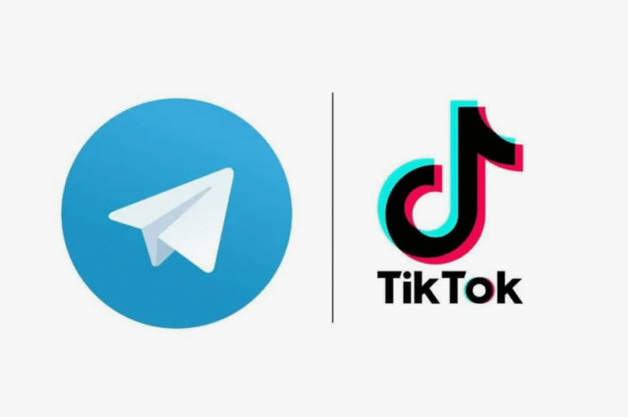 Тренд 2025: мікро-бізнес у Telegram і TikTok