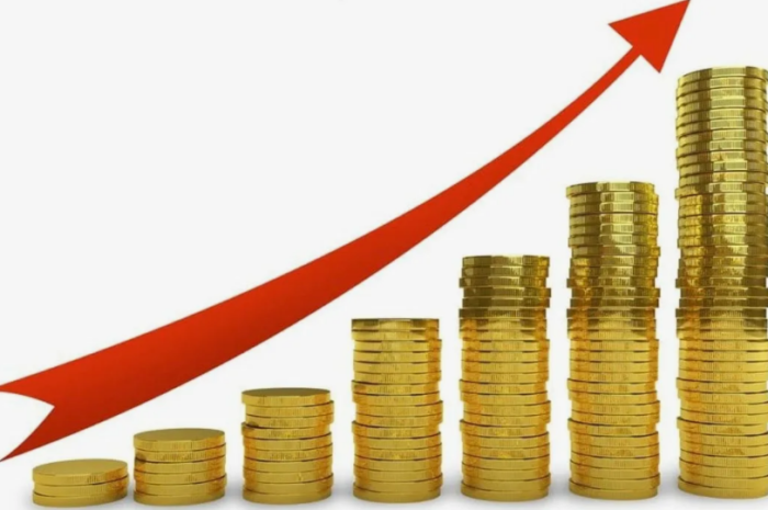 Інвестиційні сходи: як отримувати дохід і не заморожувати гроші